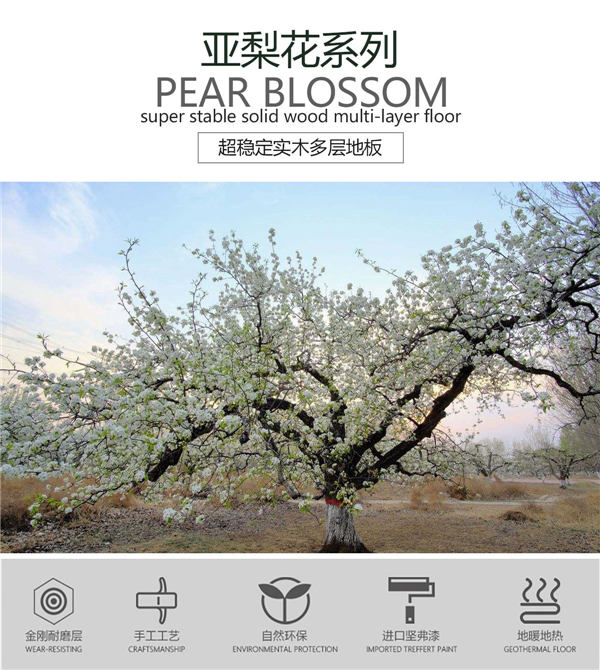 PM1043亚梨花（红木色）产品特点_01.jpg